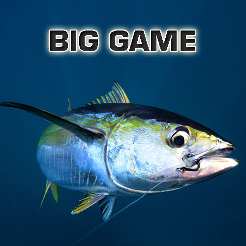 BigGame_square
