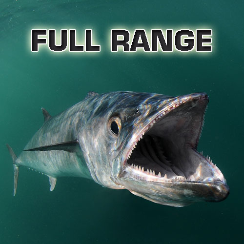 FullRange_square